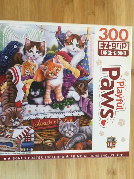 Loads of Fun, cats, complete with poster 300