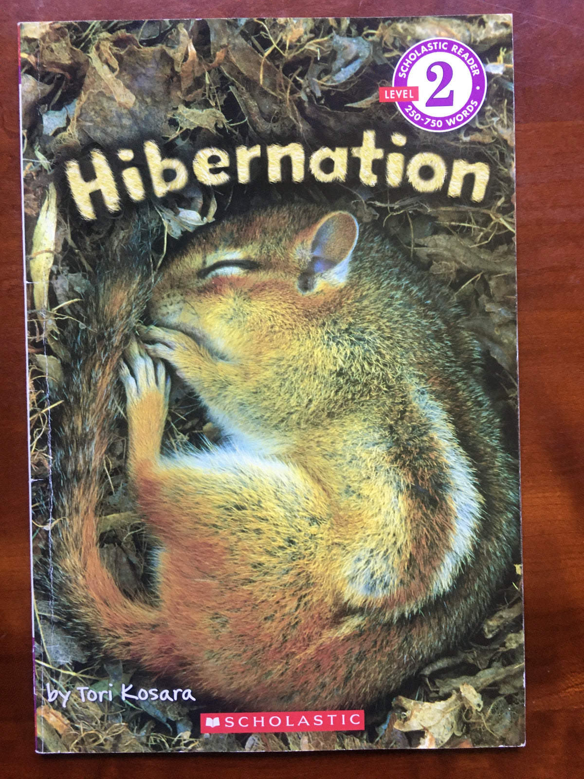 Level 2 Hibernation