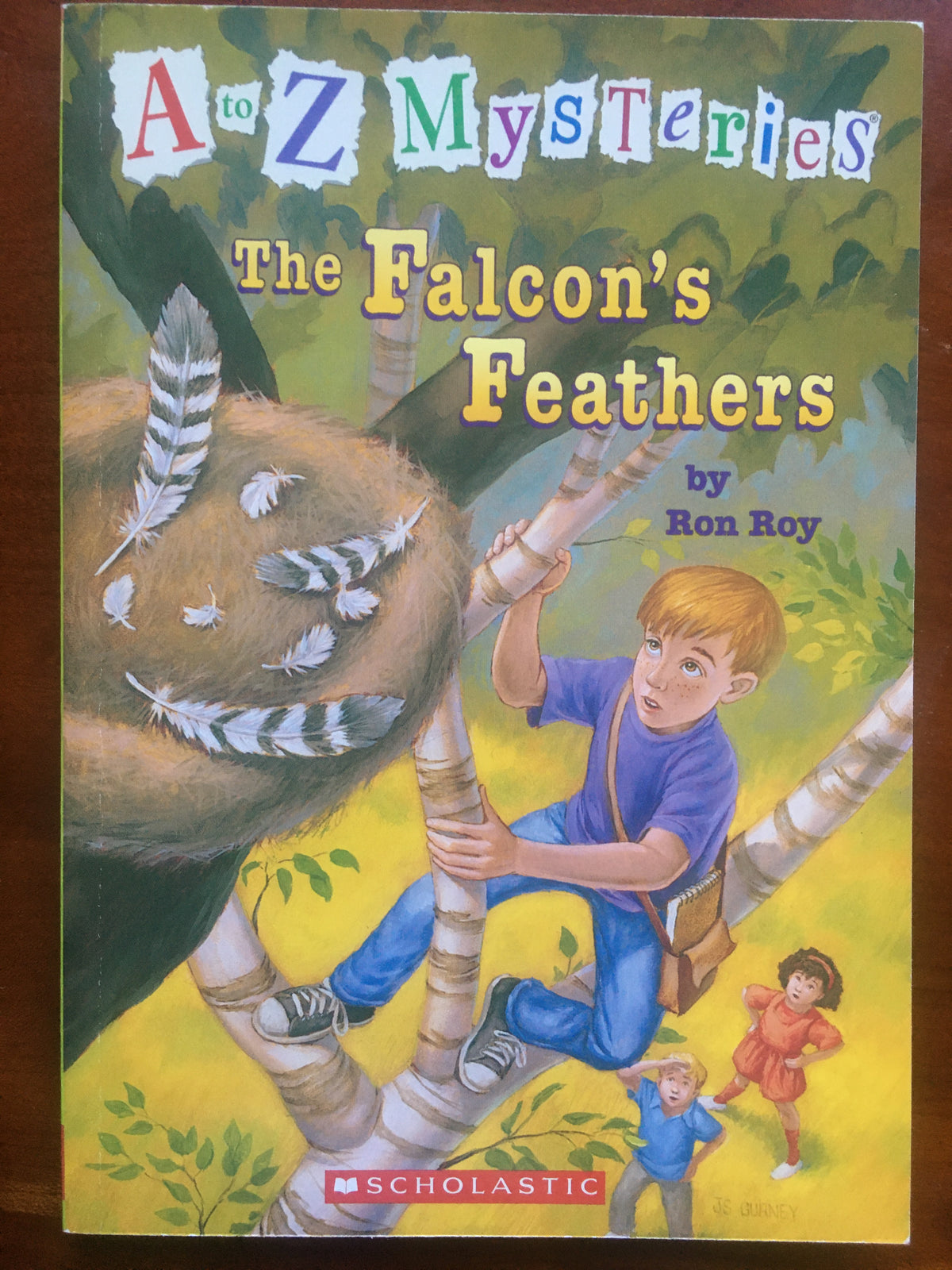 A to Z Mysteries Falcon's feathers