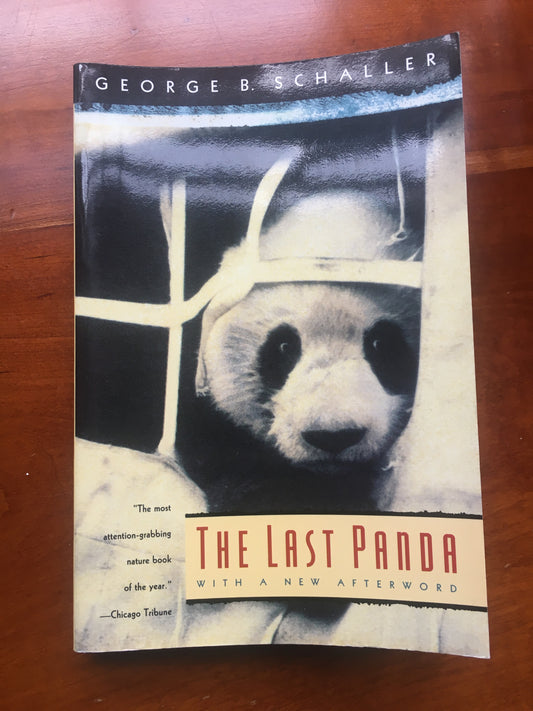The Last Panda paperback
