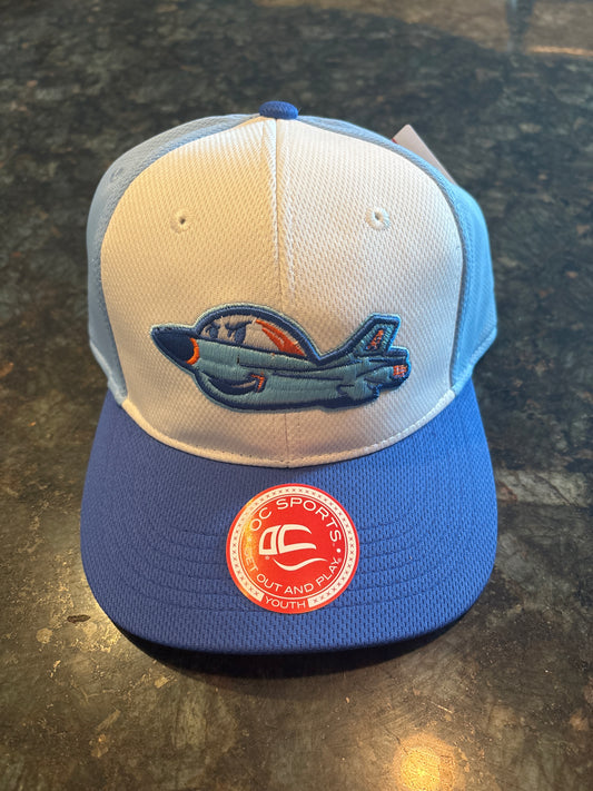 Iron Birds Hat